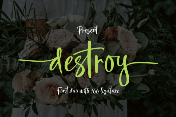 Destroy: A Modern Brush Font for Creative Web Design