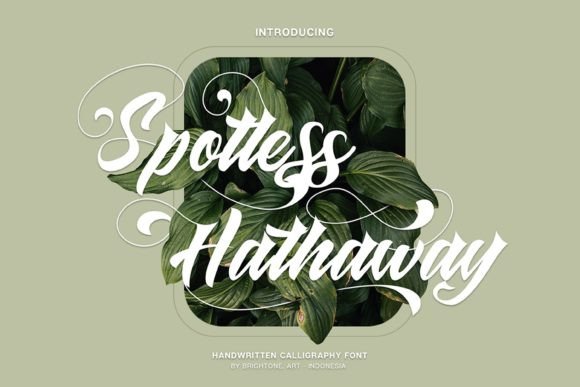 Elevate Your Editorial Design with Spotless Hathaway Font