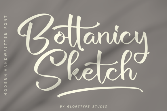 Enhance Your Brand with Bottanicy Sketch Font