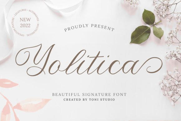 Yolitica: A Charming Handwritten Script for Modern Web Design